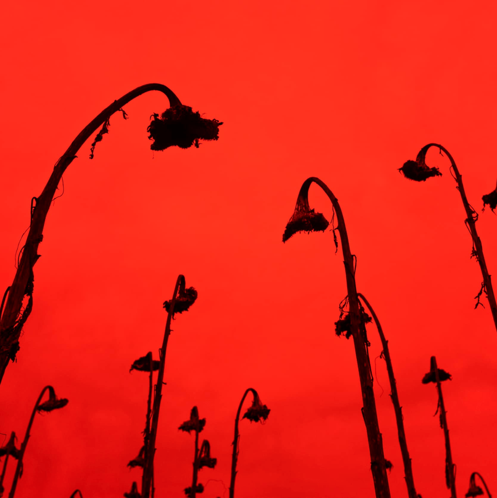 Paradise – Gian Marco&nbsp;Sanna