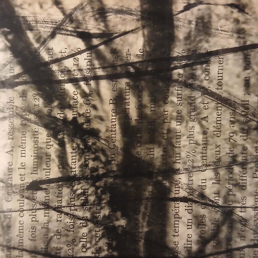 Selva: Non c’è luce che non mostri la sua ombra – Stefano David e Maria Pia&nbsp;Picozza